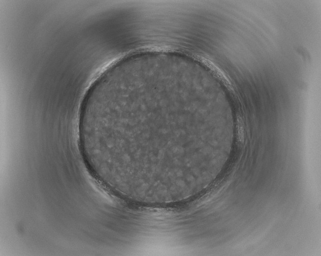 X0000116040486200912041815