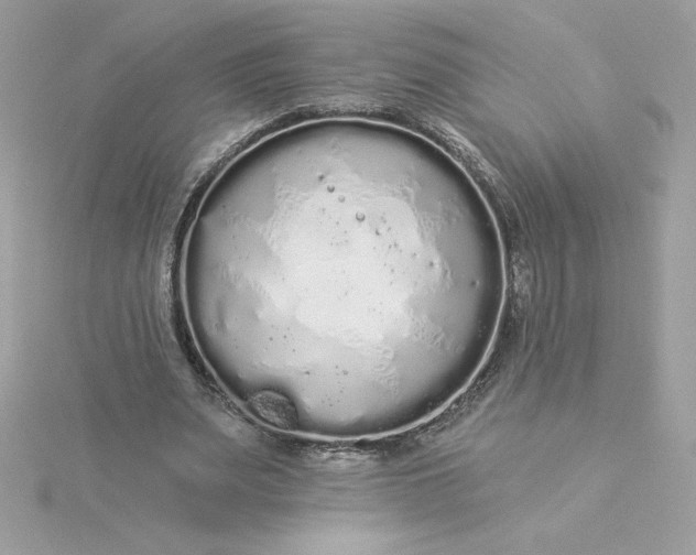 X0000116040487200912041815