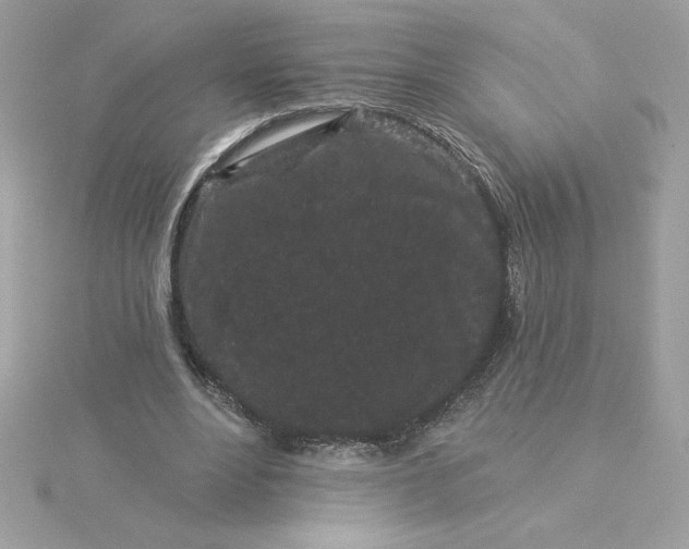 X0000116040488200912041815