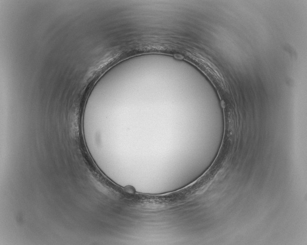 X0000116040489200912041815