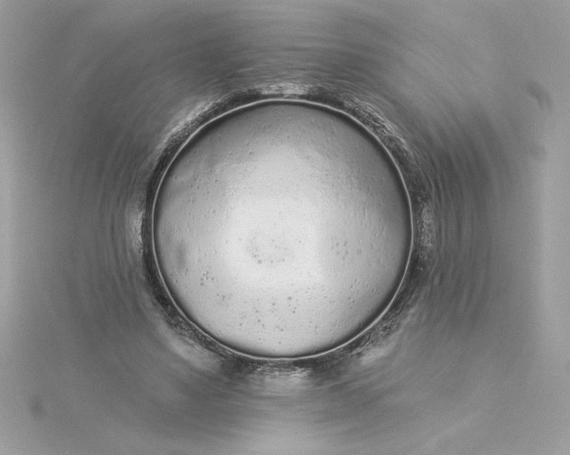 X0000116040491200912041815