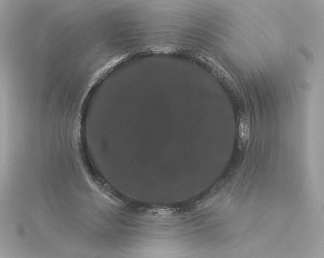 X0000116040492200912041815