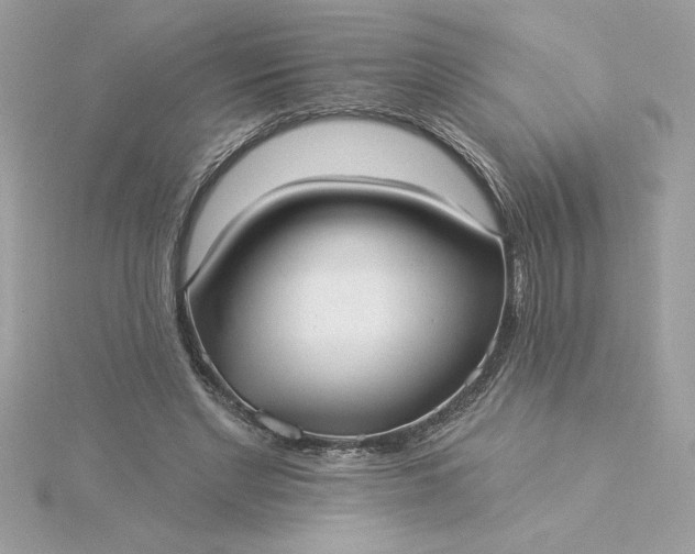 X0000116040493200912041815