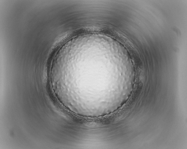 X0000116040494200912041815