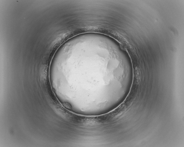 X0000116040495200912041815