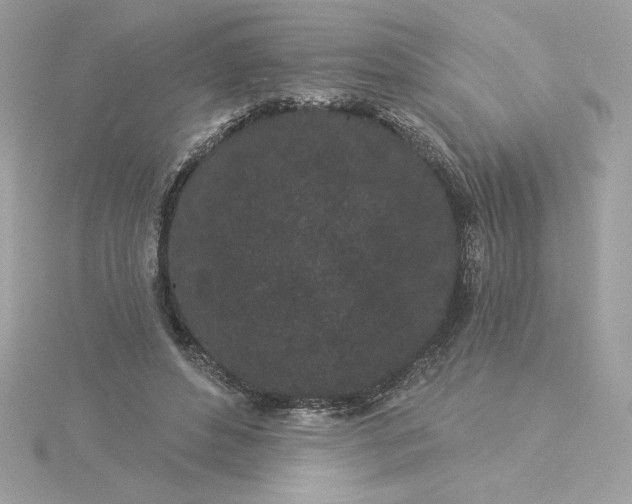 X0000116040496200912041815