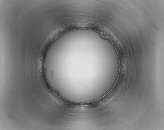 X0000116040497200912041815