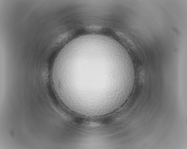 X0000116040498200912041815