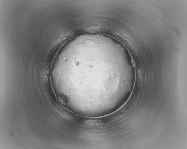 X0000116040499200912041815