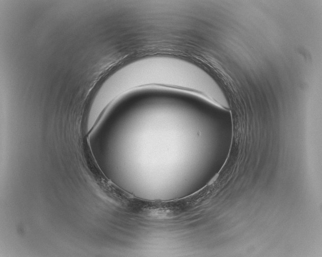 X0000116040500200912041815