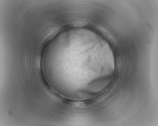 X0000116040501200912041815