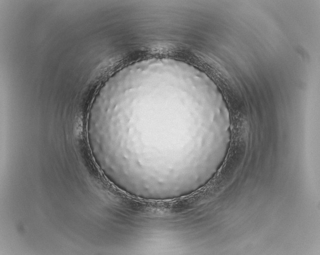 X0000116040502200912041815