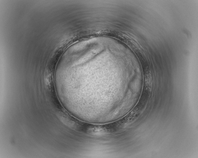 X0000116040503200912041815