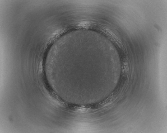 X0000116040504200912041814