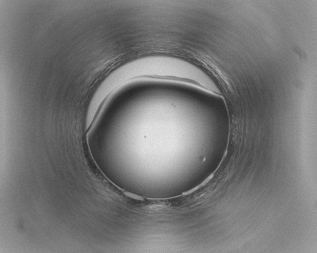 X0000116040505200912041814