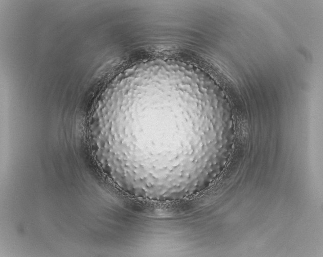 X0000116040506200912041814