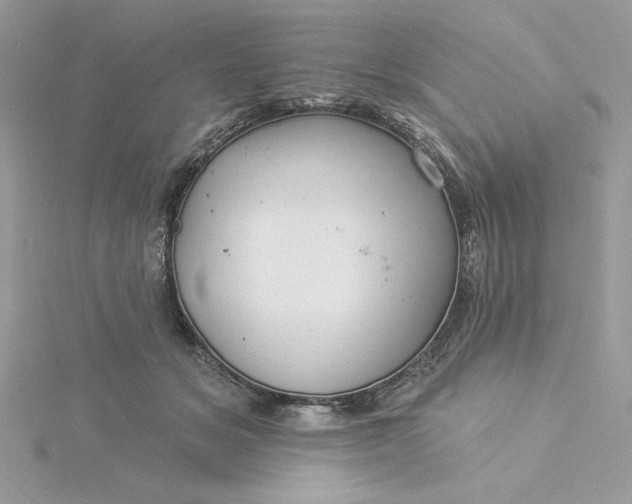 X0000116040509200912041814