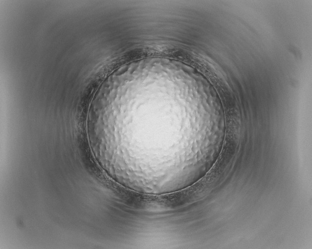 X0000116040510200912041814