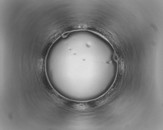 X0000116040511200912041814