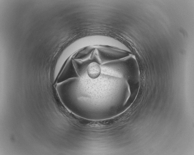 X0000116040512200912041814