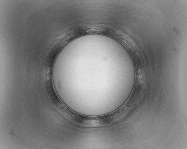 X0000116040514200912041814