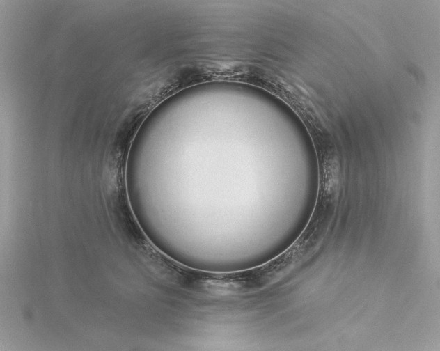 X0000116040515200912041814