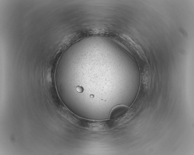 X0000116040516200912041814