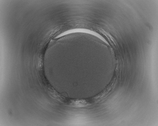 X0000116040517200912041814