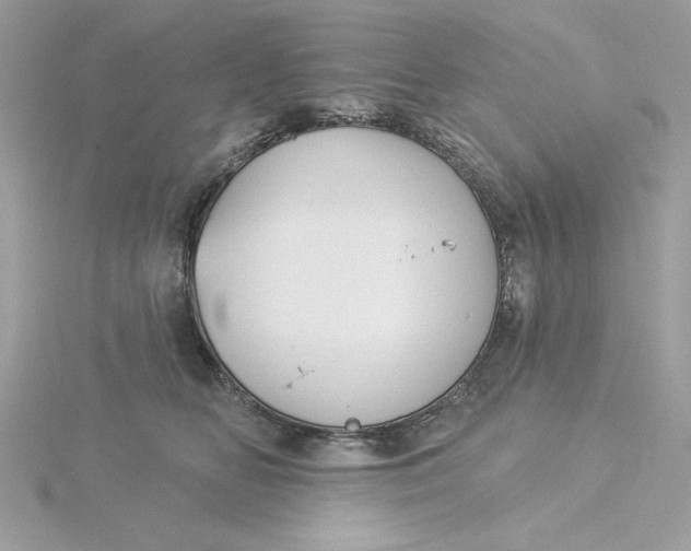 X0000116040518200912041814