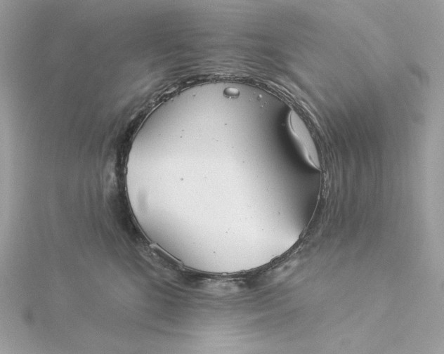 X0000116040520200912041814