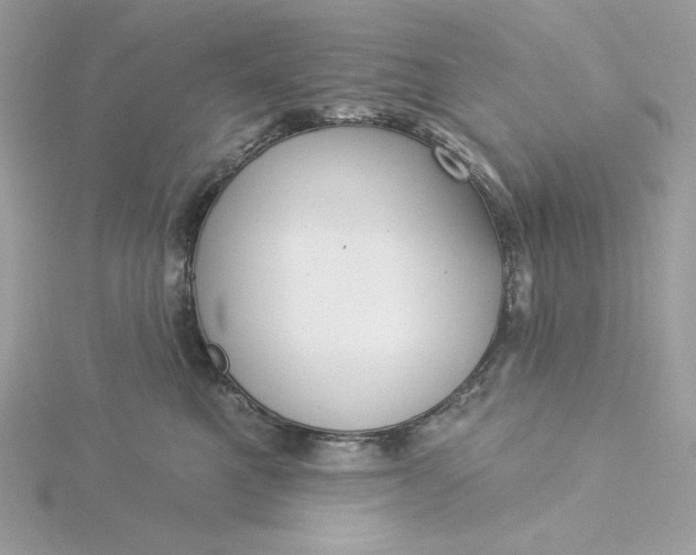 X0000116040521200912041814