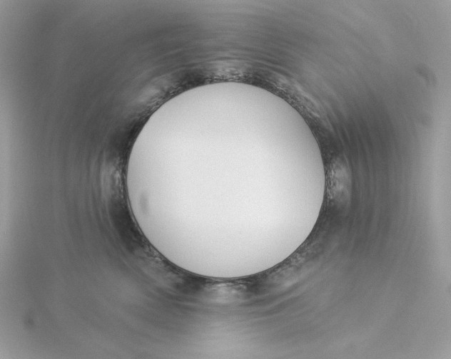 X0000116040522200912041814