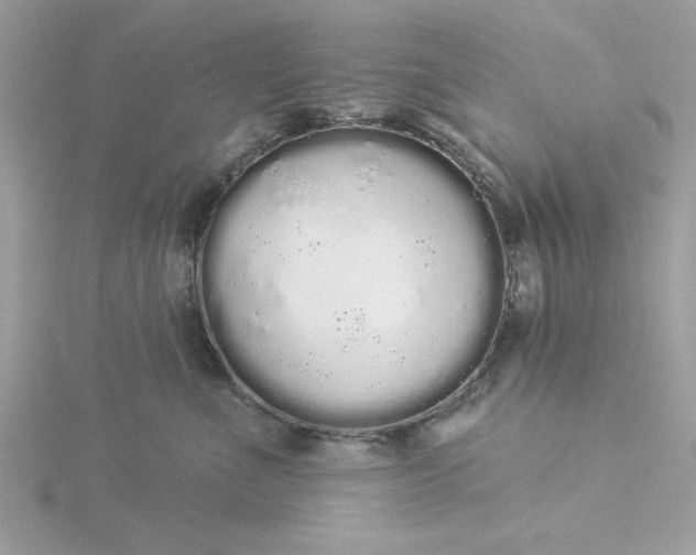 X0000116040523200912041814