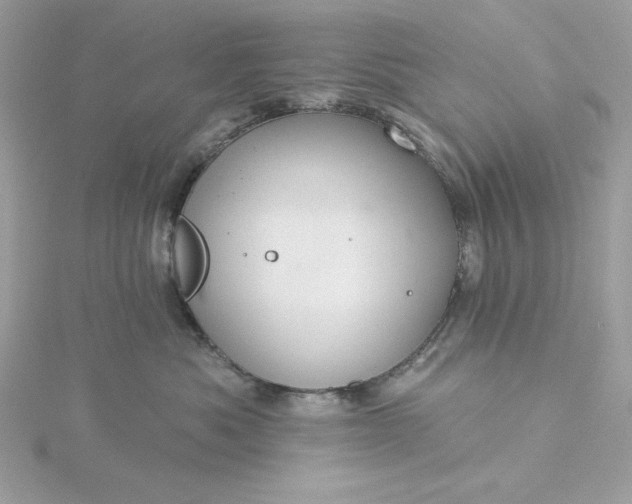 X0000116040525200912041814