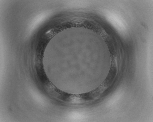 X0000116040526200912041814