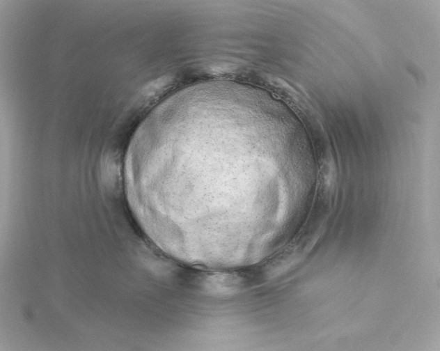 X0000116040527200912041814