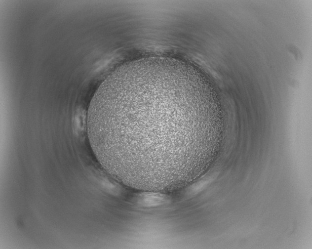 X0000116040528200912041814