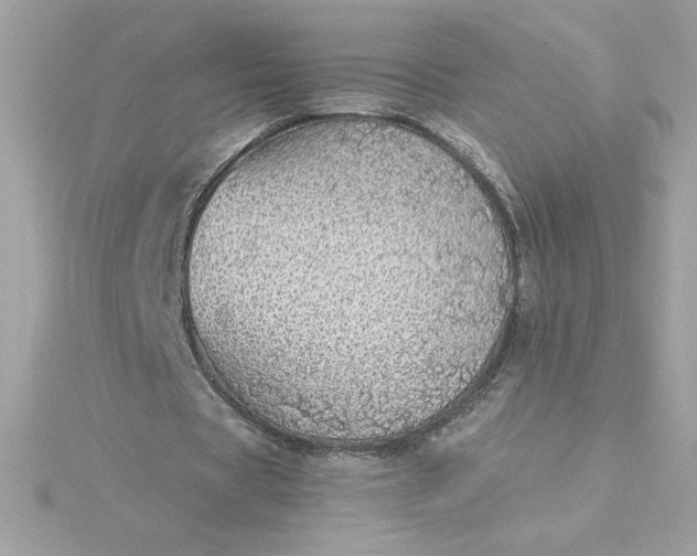 X0000116040529200912041814