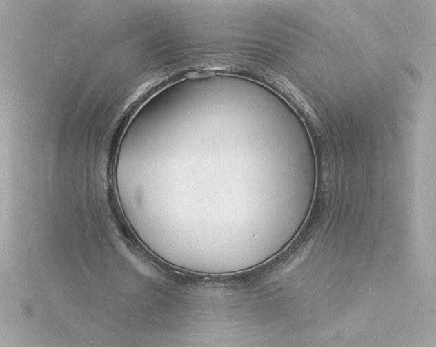 X0000116040530200912041814