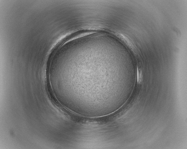 X0000116040531200912041814