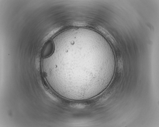 X0000116040533200912041814