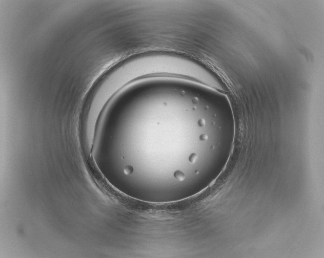 X0000116040534200912041814