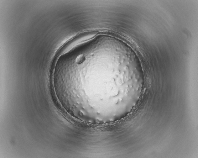 X0000116040535200912041814