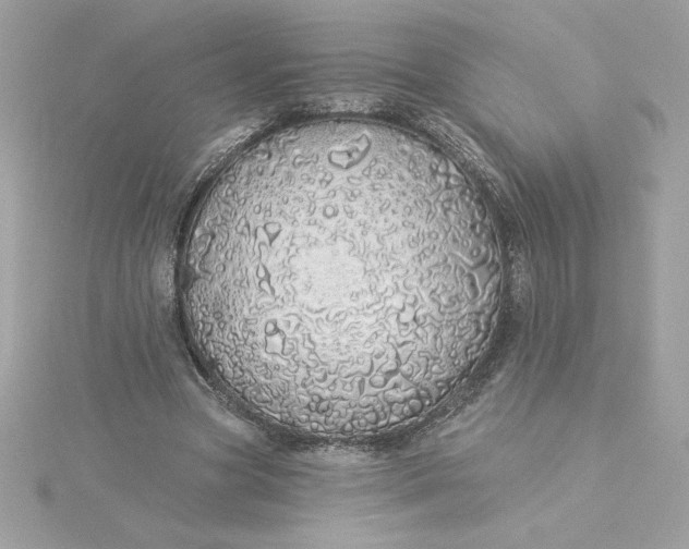 X0000116040537200912041814