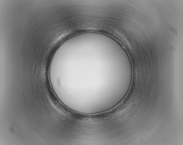 X0000116040538200912041814