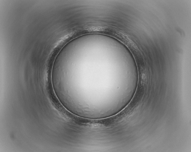 X0000116040539200912041814