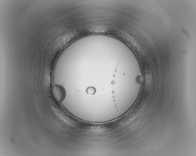 X0000116040541200912041814