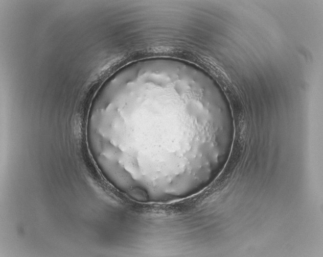 X0000116040542200912041814