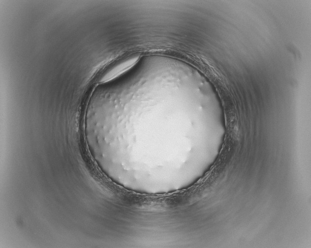 X0000116040543200912041814