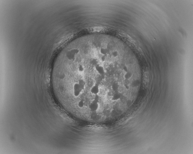 X0000116040545200912041814